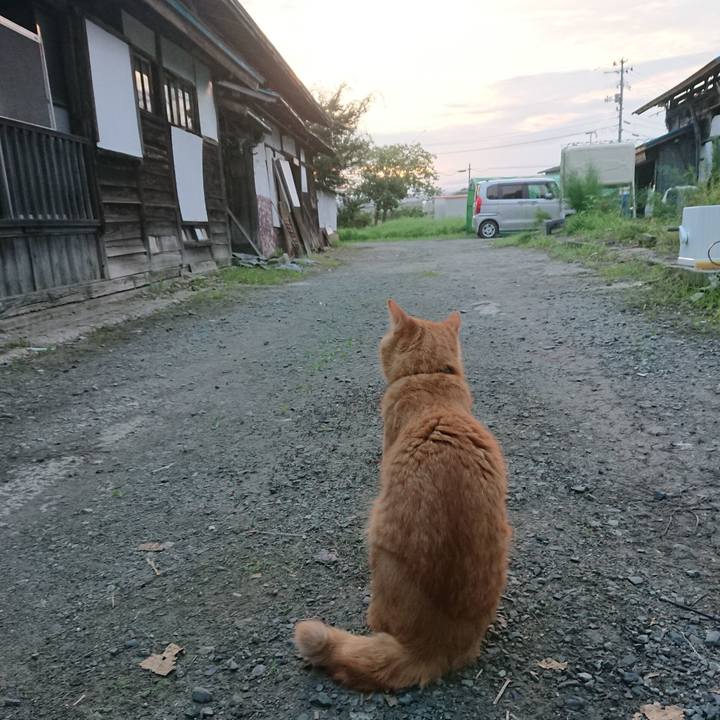 Bb668cc0 bb00 4db6 b84f e3fd7afb0e7e 1661375586017