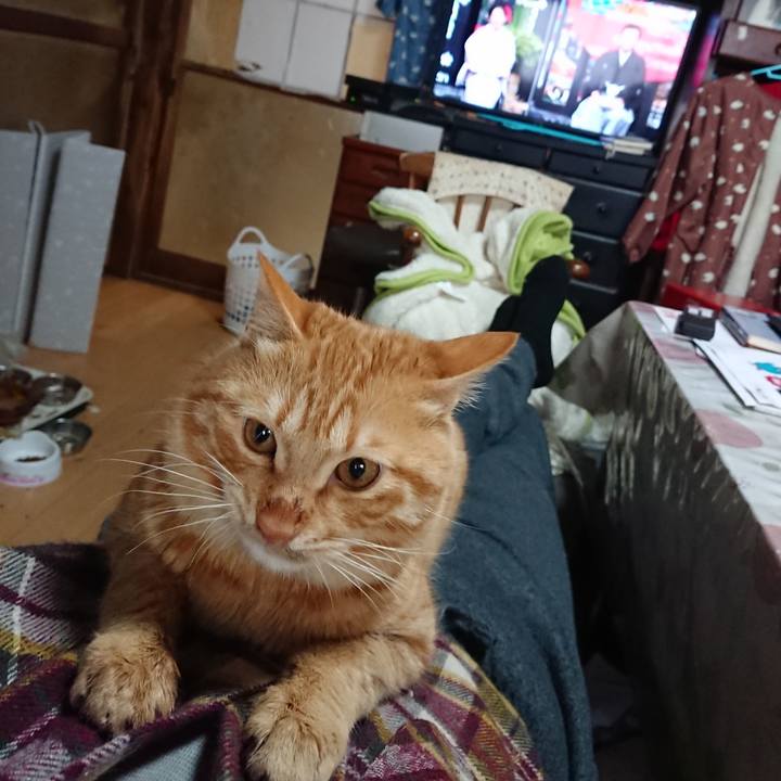 Bb669d48 f3fa 4bd6 b780 b0a5de895b7f 1641078809685