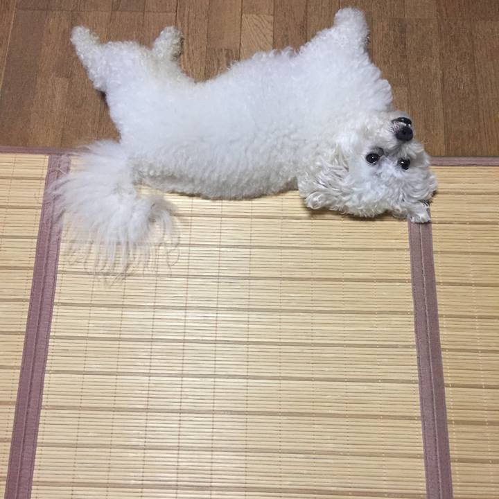 Bb66bbec 3ce9 4b51 87c9 826f2015ee56 1531568192697