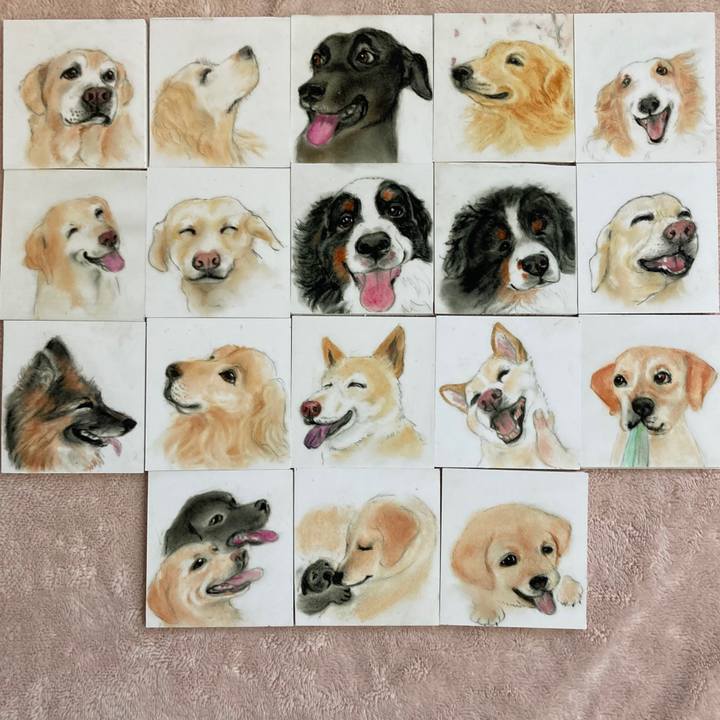 Bb66fd94 6828 4c1c 8667 b7c63b3deb28 1665013872669