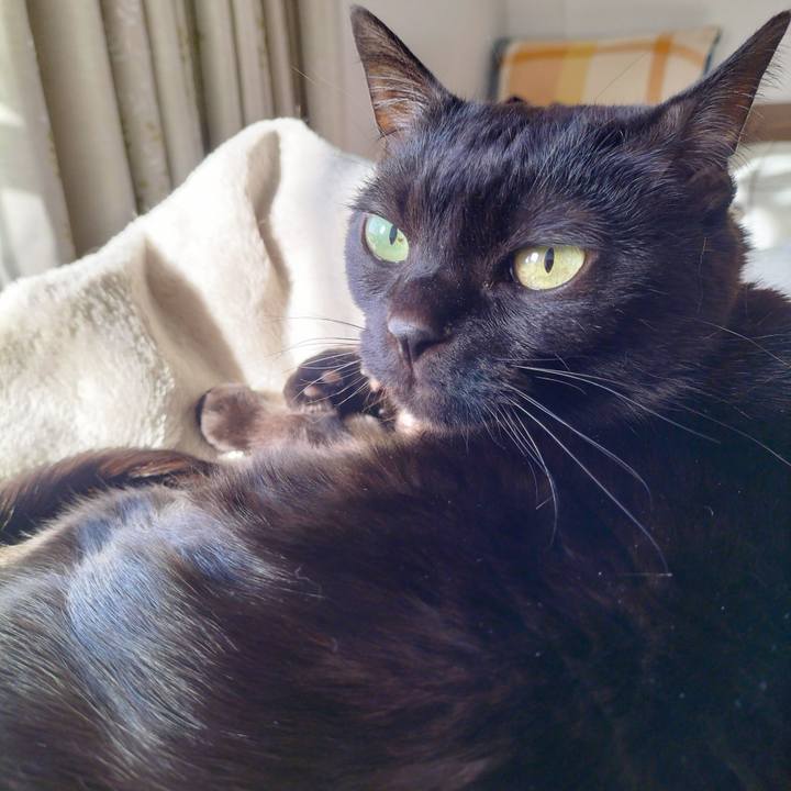 Bb677568 9fed 4d98 9a28 883fab28a98a 1709422231521