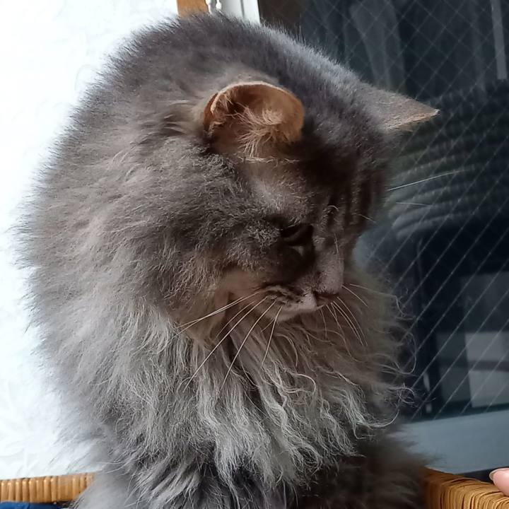 Bb678481 926c 4fe5 870f 526e2a4193d7 1625953948048