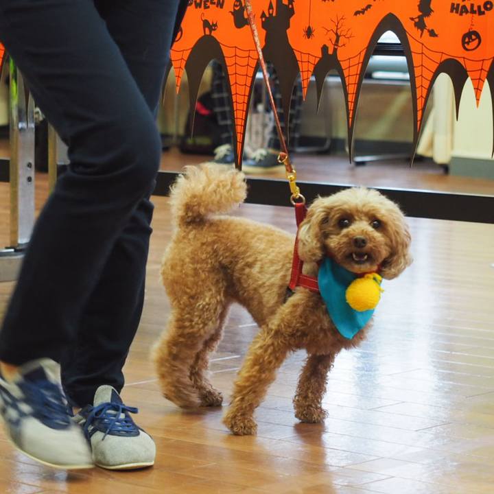 Bb679c41 ccf8 40f0 9f01 ab046c3d1b34 1539348077461