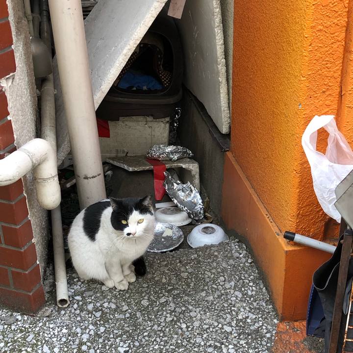 Bb67bc50 ef1c 4806 b8f7 e6121b6c8f44 1551751523159