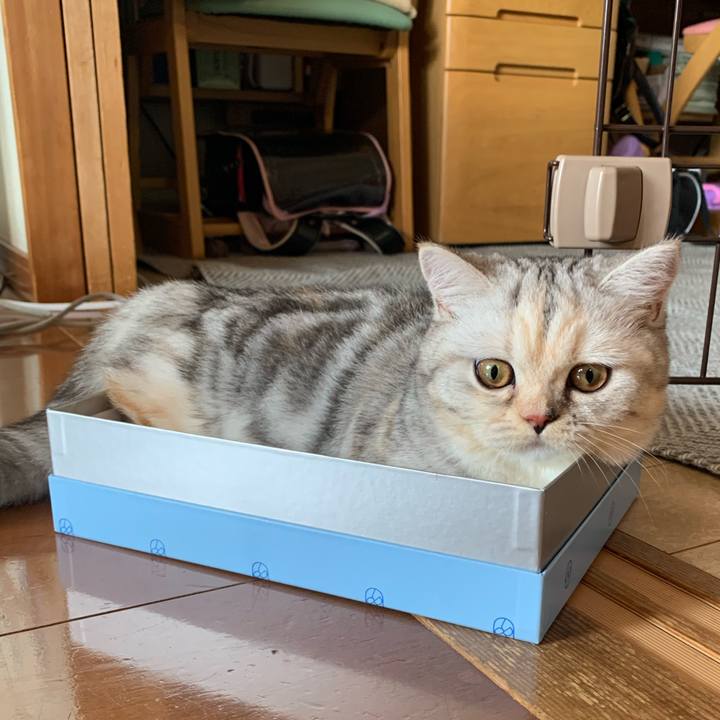 Bb67f67f 136d 4739 92da 75ae03545145 1706322590160