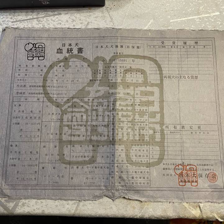 Bb68116f 043f 401a ba4c f70d7f11eb3c 1686663861486