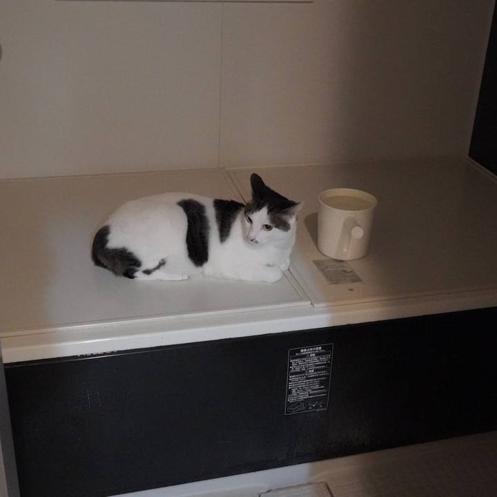 Bb685c18 a51d 40ce aa35 5d15965ca3f2 1587647613853