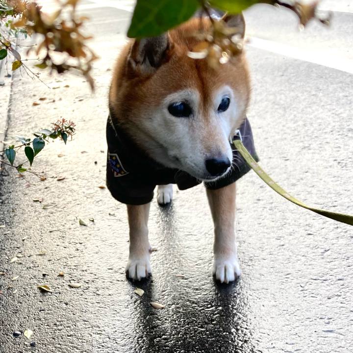 Bb686a7d d2b3 4757 8c1f baa3477be37c 1705822778666