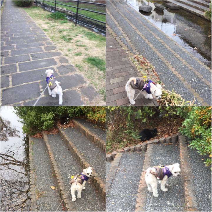 Bb687122 e465 43a4 b06e bf13cf806311 1545549169340