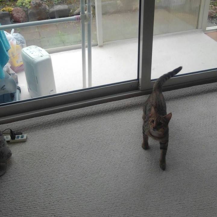 Bb689cd8 9f51 4019 952c 0bc9e43c4d33 1570201431348