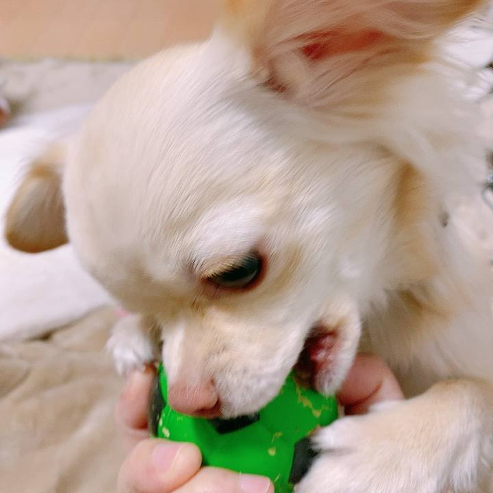 Bb68a043 b883 4bb3 82e4 223969547288 1611453694517