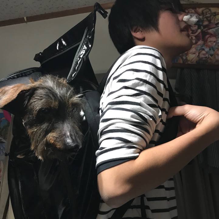 Bb68a2d3 4261 4d38 a7d8 08aedca6d84c 1523712337785