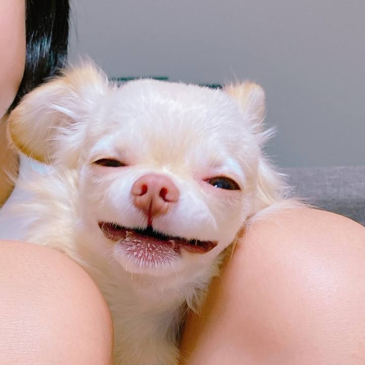 Bb68eb22 106c 4a15 9722 5420521fe7f2 1635853718586