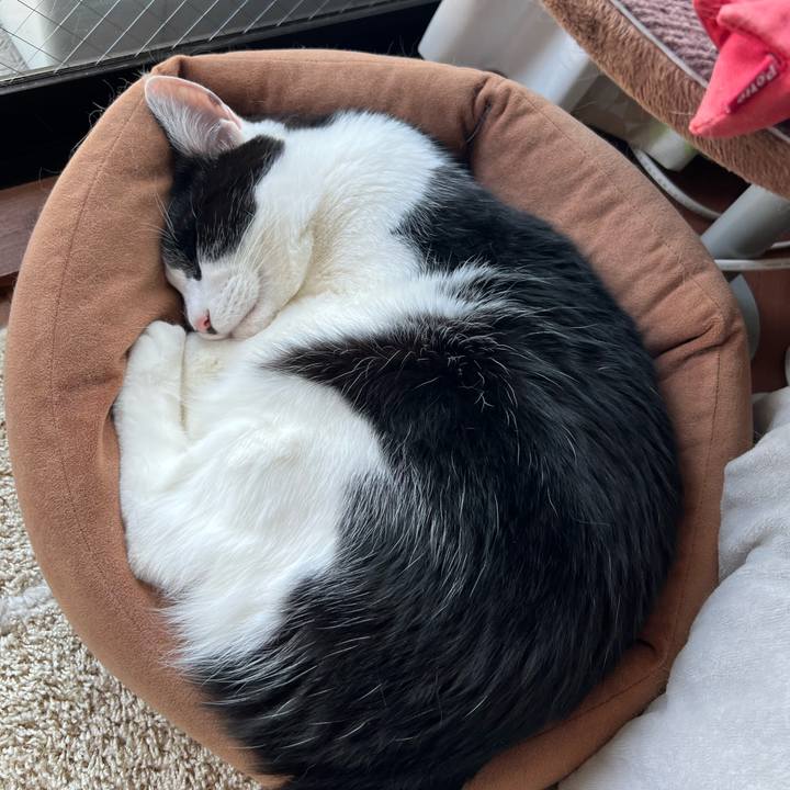 Bb68fee5 e45c 4212 b6b4 daf8f150342b 1746009905726