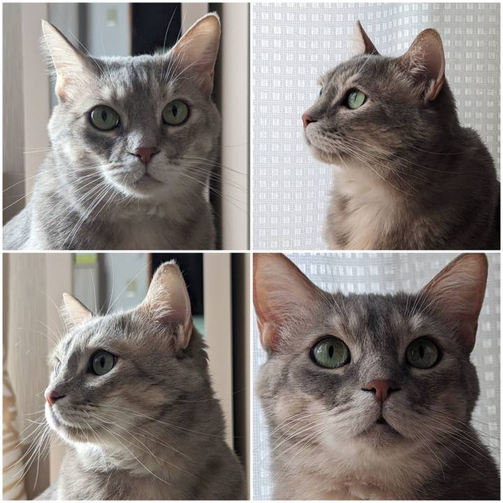 Bb69400e 7152 458e 8989 78956c89eb25 1711079798860