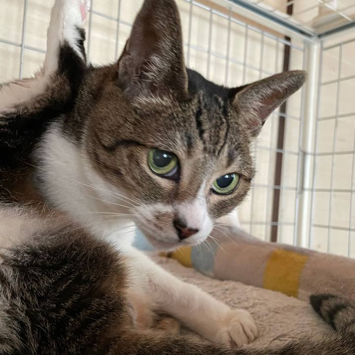 Bb696189 f35d 4bf8 853f 549b390ef115 1629596695785