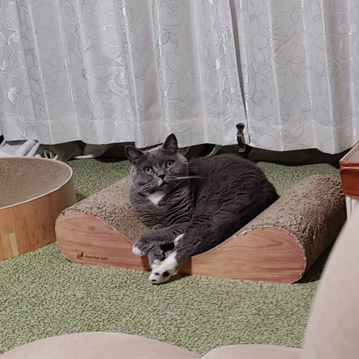 Bb697194 a905 4958 b8e6 46a978525721 1732199489341