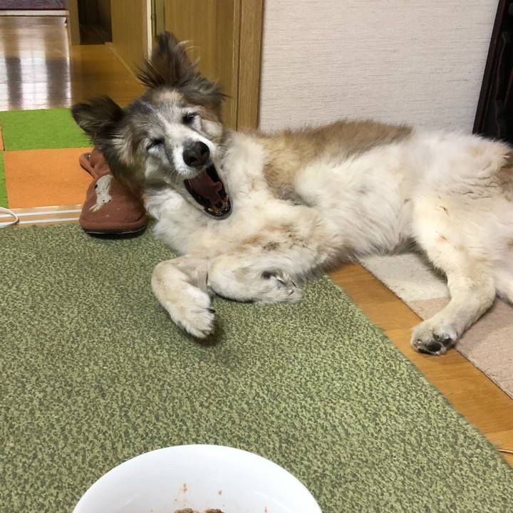 Bb698dae 4689 4d49 b138 aa5a564f1ce5 1529453243075