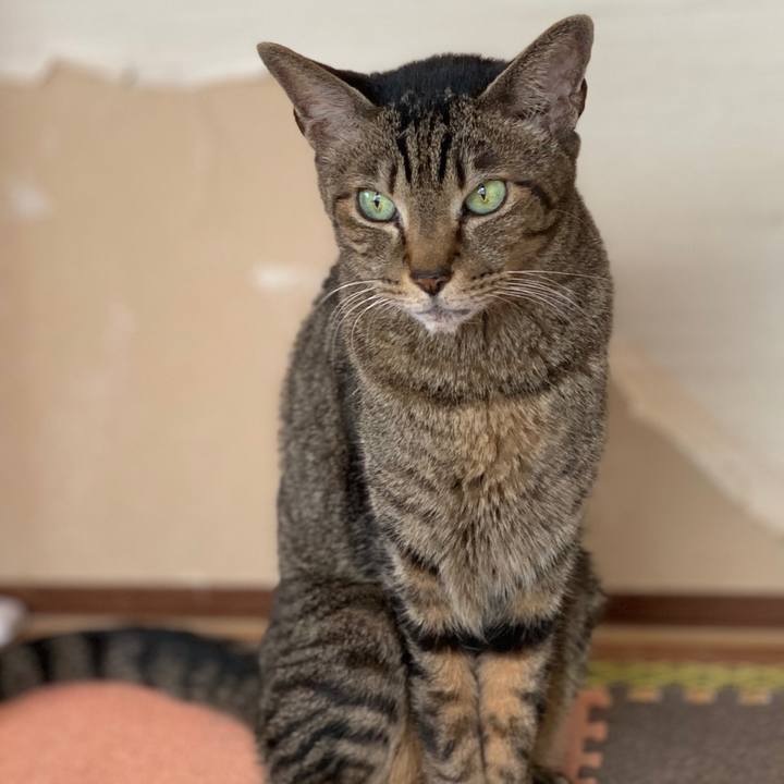 Bb698f28 dc15 45a2 ab9a ab22faeb246f 1586826919623