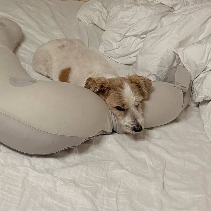 Bb69a211 7c02 48d1 a963 d096af2a3189 1761283753839