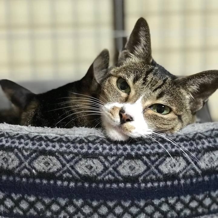 Bb69a685 d212 4758 8b6b 13d418ed0544 1511918002817