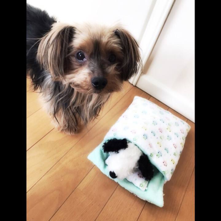 Bb69c08f 09e3 4efc 9281 e8345f5da88a 1518652484050