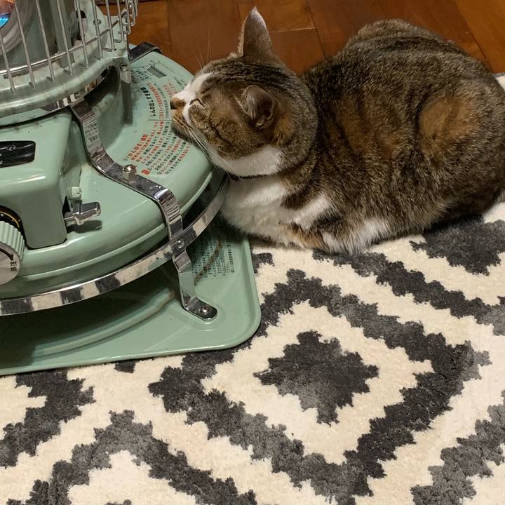 Bb69c31c eb33 4e94 b7a3 66b8c56c1301 1552748256036