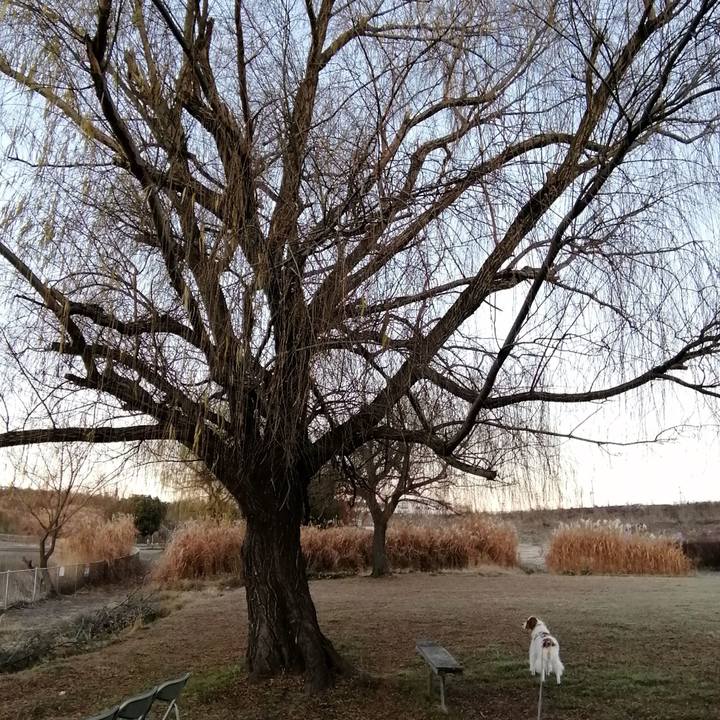 Bb69f8f0 acef 4285 b830 5fa134b26c9f 1578268429412