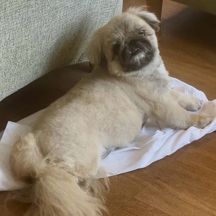 Bb6a0516 7387 404f a155 c5fbbd1f5ee9 1727075453217