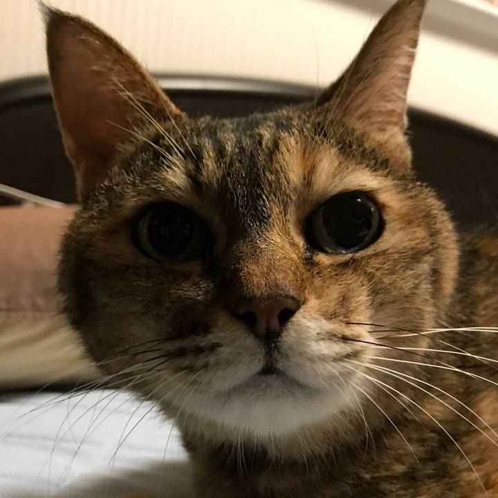 Bb6a1bbd 4e1f 4637 b57a d96ee318e494 1537504655654