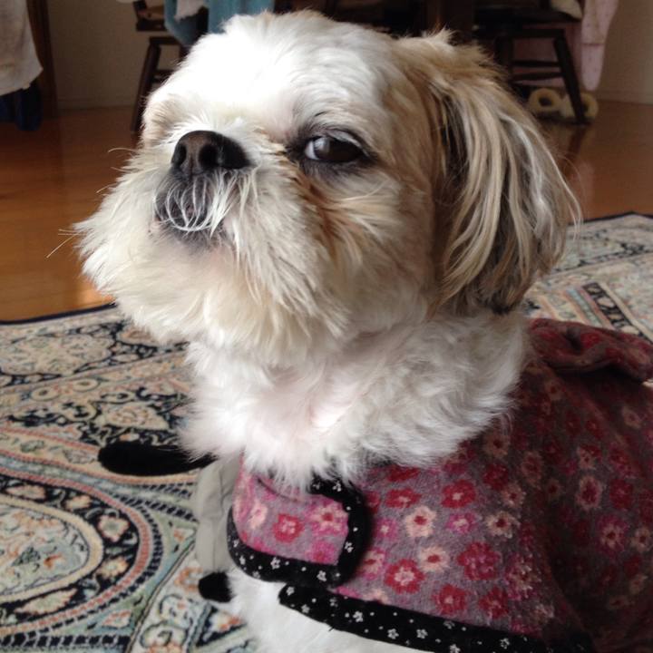 Bb6a30a8 138b 49af aa0a fbe41013b502 1508880671531