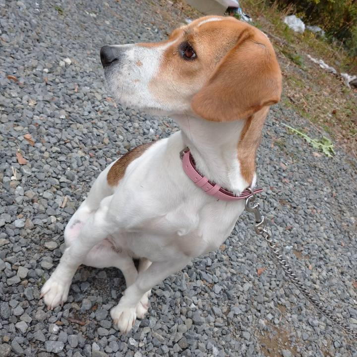 Bb6a4ef5 a012 41f6 bb04 eff8199eaa6a 1581561668937