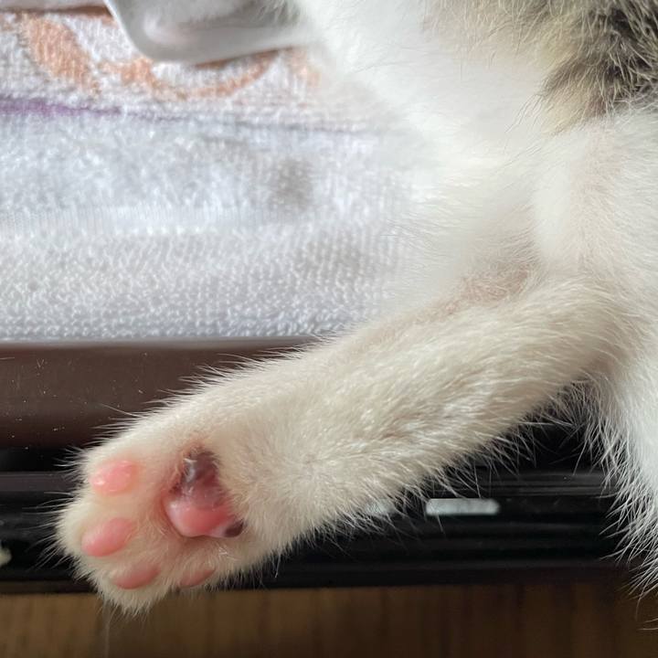 Bb6a72b9 82e6 4a7e 8dfd 02f23fbaf765 1720226312906