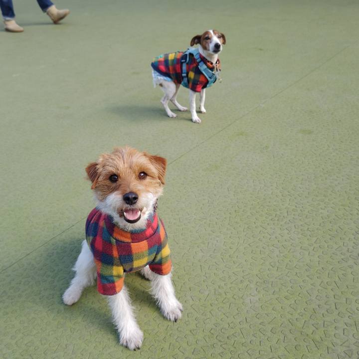 Bb6ab40a c780 405c aa4a 538924507caa 1739952334892