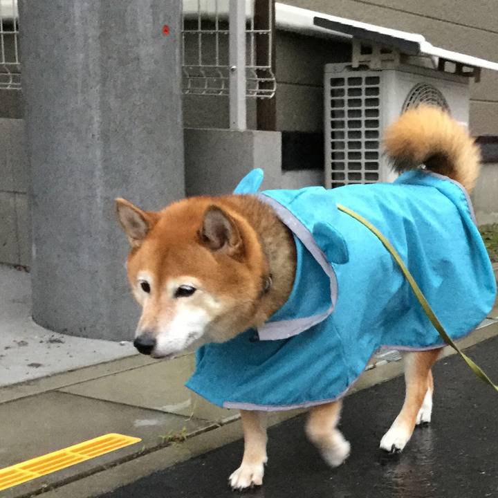 Bb6ad649 7c63 407d 86af 68c6f2e75f28 1601109094652