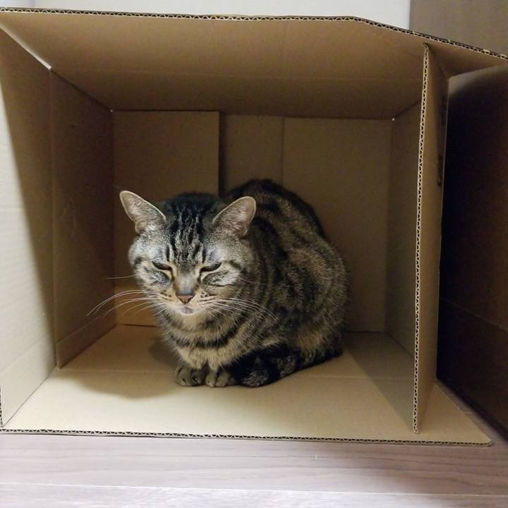 Bb6aeb05 cb39 4676 93b9 c9788da1d167 1586987154221