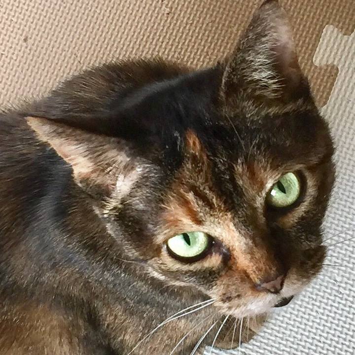 Bb6b394b c5f8 4c8f a91d 80f1ca18fa52 1548414489312