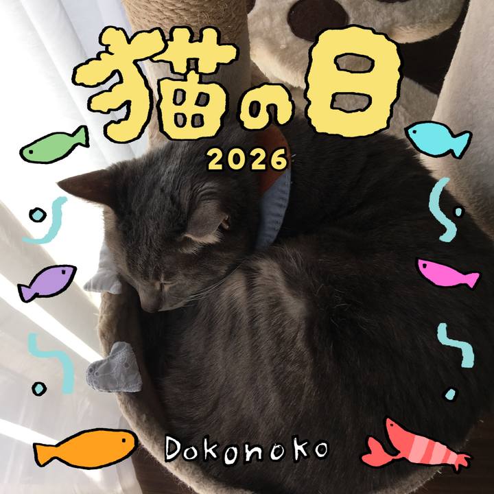 Bb6b4cc3 4217 49cd a7e9 bc0bcad57ef5 1771740526506