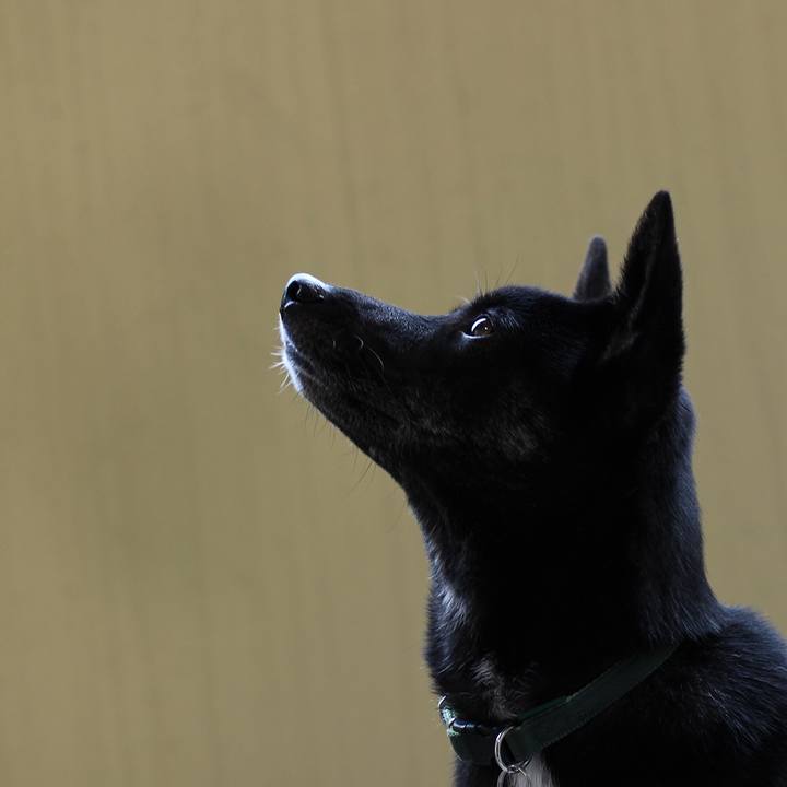 Bb6b9f82 3a10 4e55 8281 39cb4c181644 1544491202640