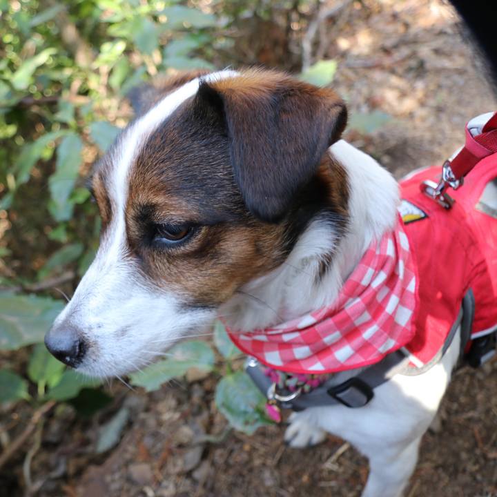 Bb6ba421 0852 4a83 bc55 5846203912d5 1520154986715