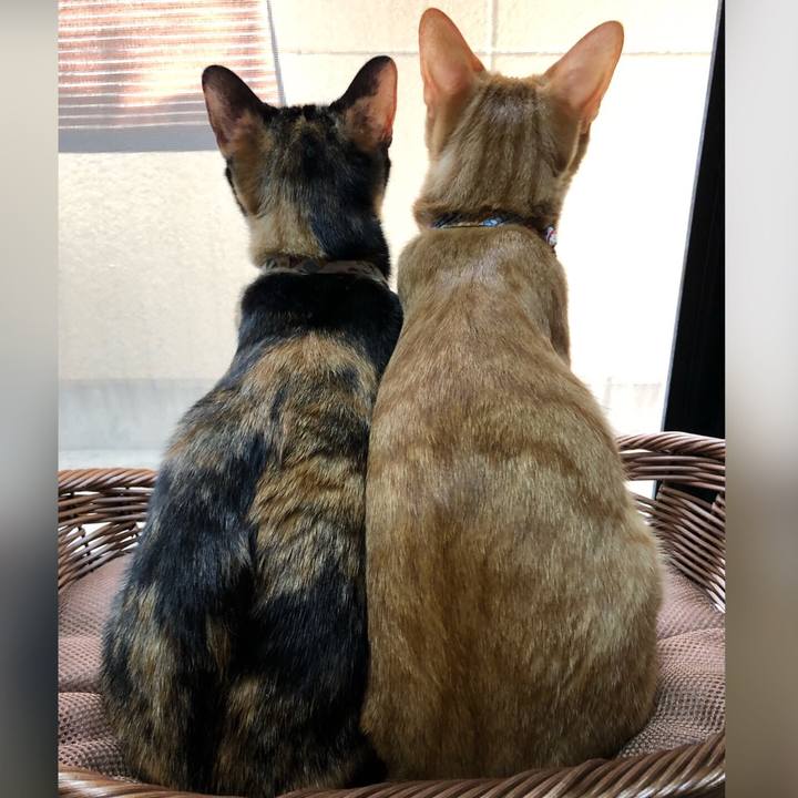 Bb6ba61d ecc8 4ca3 a632 6ad4d55a6ebd 1569381437851