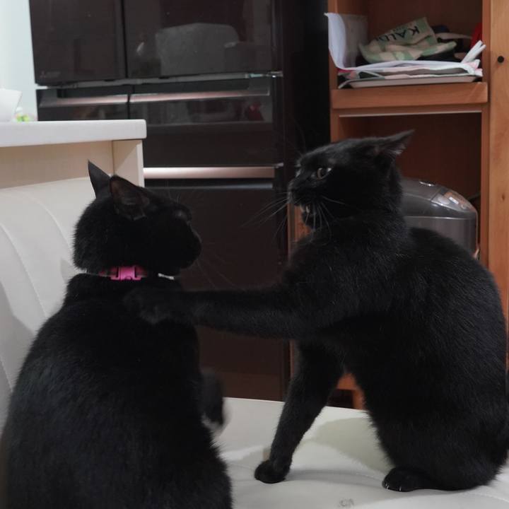 Bb6bbe4c c93c 4951 955c 6b1923fb4b54 1599998558983