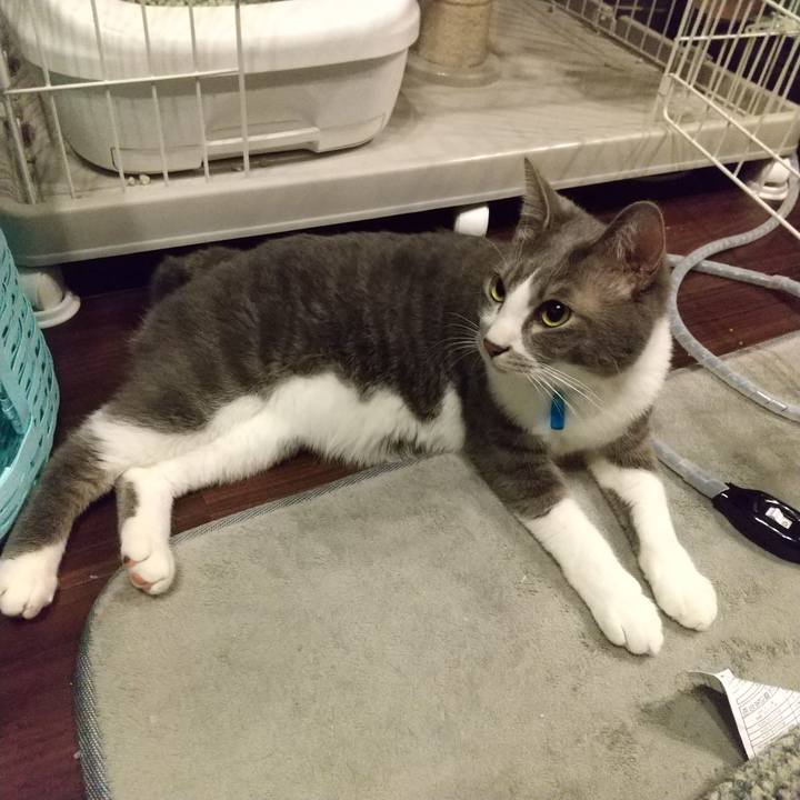 Bb6bebd4 b9d6 4a21 a80a 01d8d6e5a5c6 1614634404453