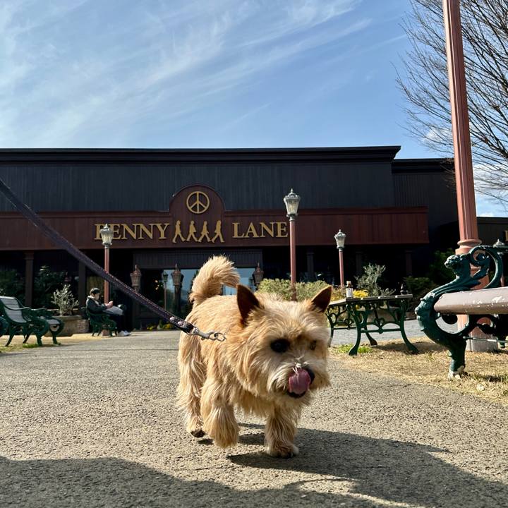 Bb6c05f1 aa31 4077 b9a9 23a64fba909a 1773655499143