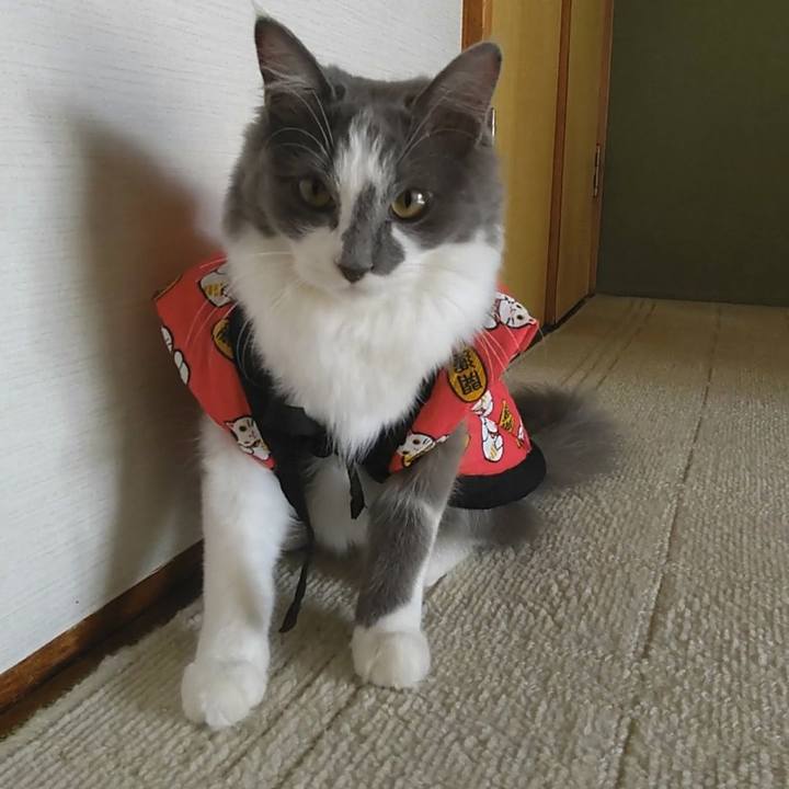 Bb6c1c12 935c 47a2 9152 cf0e048c5ae5 1573362707715