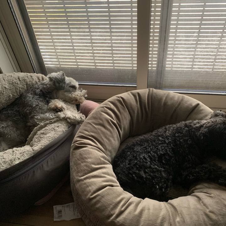 Bb6c40ef d296 4dd8 a491 d954d8e0d6df 1685585515302