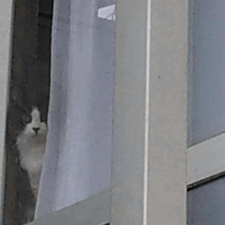 Bb6c44e7 f098 4098 b04e c4a44b7d8c75 1580080353863