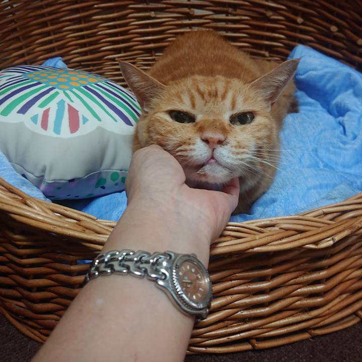 Bb6c6fa7 7bde 48c0 b7af 58eebbd6e99b 1721871076888