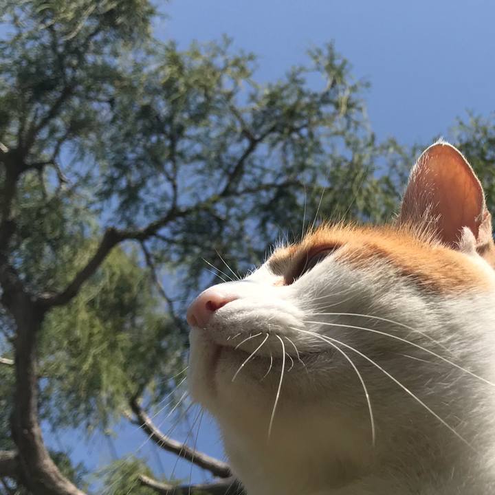 Bb6c7a25 3a29 4648 8200 714a99399aa2 1524197520737