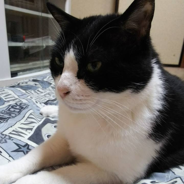 Bb6c9c21 ee37 4464 a0e9 8ec1eb949815 1527377726263